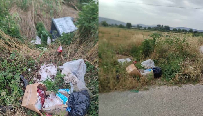 kados vasiliki