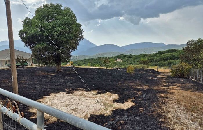 Μυροδάφνη: Πέρασε από τις αυλές των σπιτιών η φωτιά- ΦΩΤΟ 1 mitodafni1