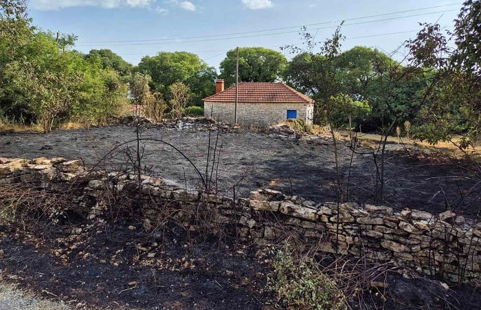 Μυροδάφνη: Πέρασε από τις αυλές των σπιτιών η φωτιά- ΦΩΤΟ 2 mitodafni2