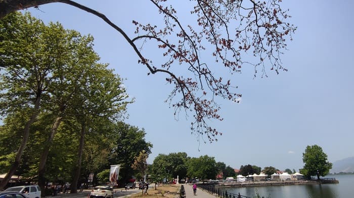 paralimnios platania2