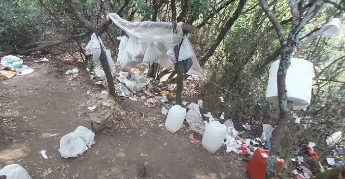 Χασισοφυτεία «μαμούθ» στα ελληνοαλβανικά σύνορα 1 fiteia1