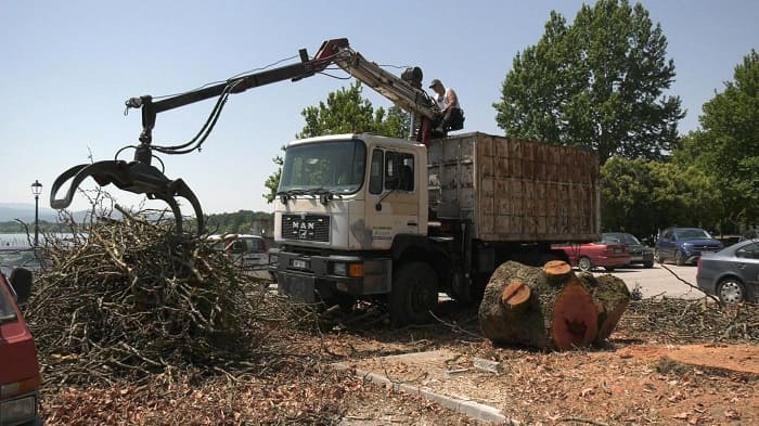 Νέες κοπές δέντρων.. Αποχαιρετούμε τα πλατάνια της παραλιμνίου! 1 platania kopi1