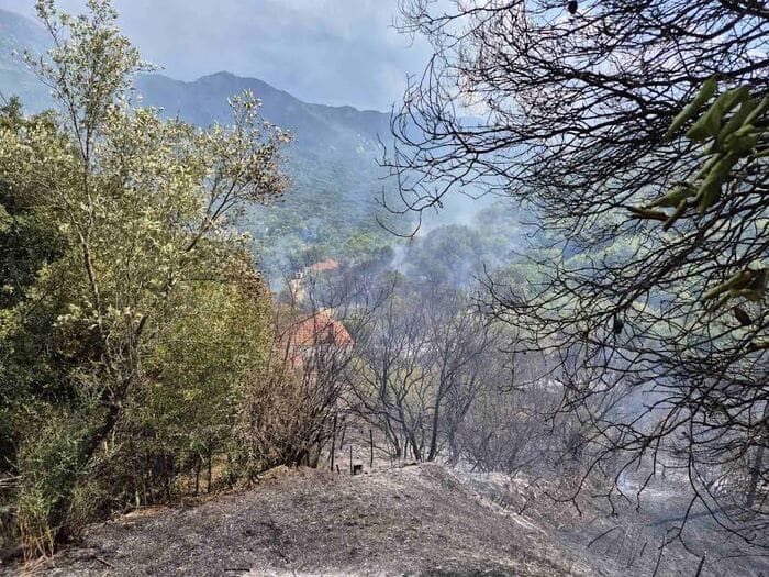 Μάχη για να σωθούν σπίτια στην Αχλαδέα, επιχειρούν και εναέρια 1 axladea f1