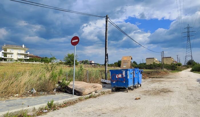 kardamitsia stromata