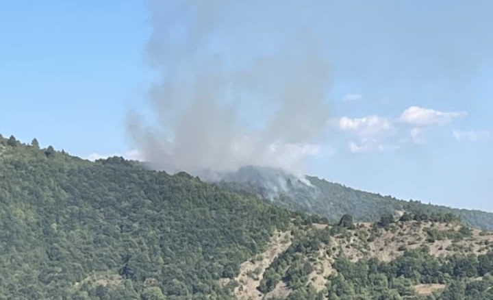 plagia fotia