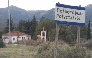 polistafilopinakids