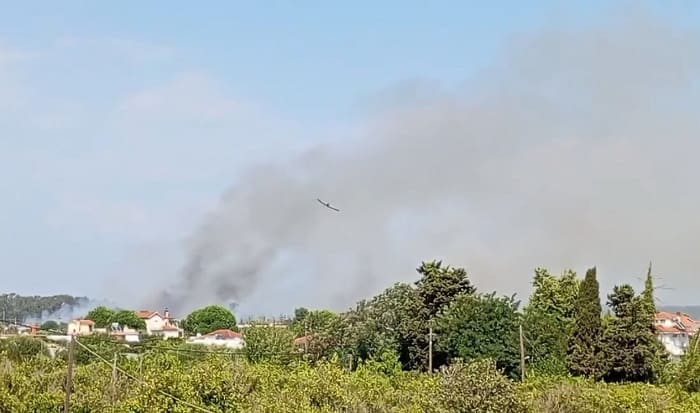 preveza fotia gimnastiri