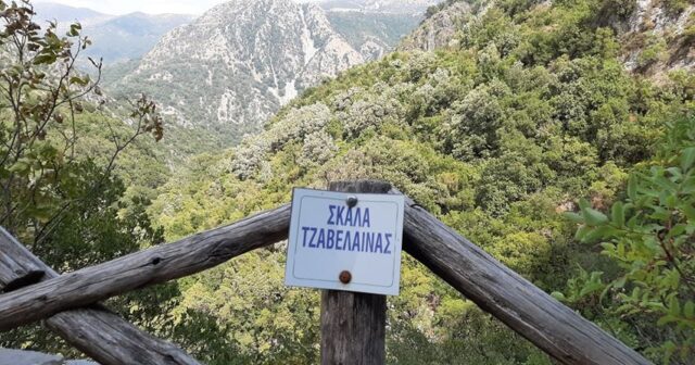 skala tz