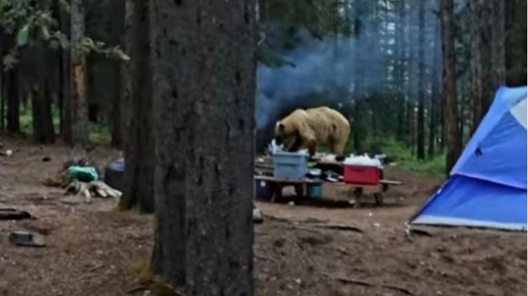 kalnta kataskinosi