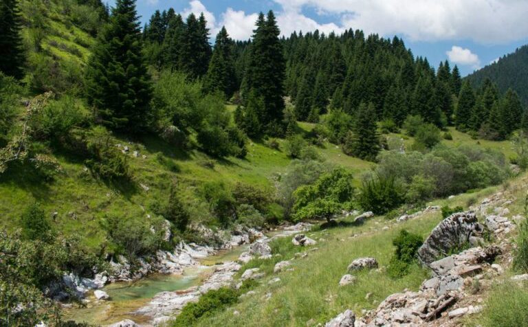 xaliki
