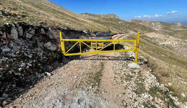 verligka 1