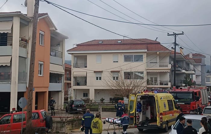 mezoneta seismoplikta