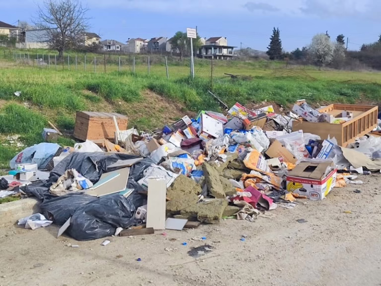 skoupidia kardamitsia