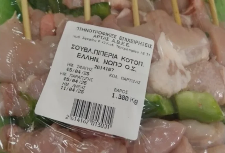 efet souvlaki