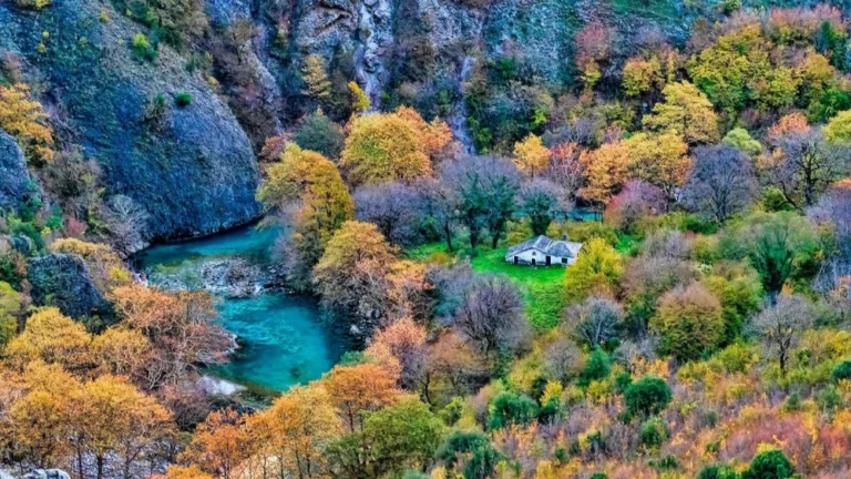 faraggi