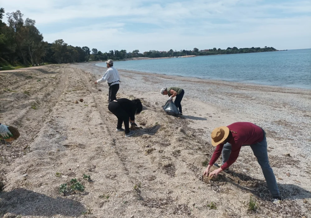 Εκρίζωσαν καλάμια, μάζεψαν πέτρες από το Μονολίθι 1 monoliti kalamia