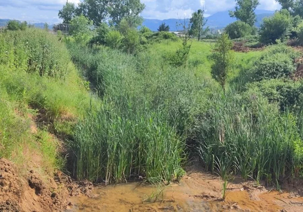 apostraggistikes tafroi