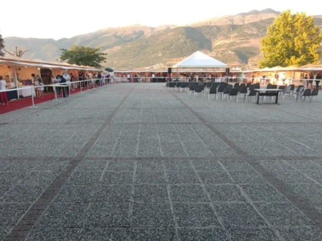 ektesi topikon proionon