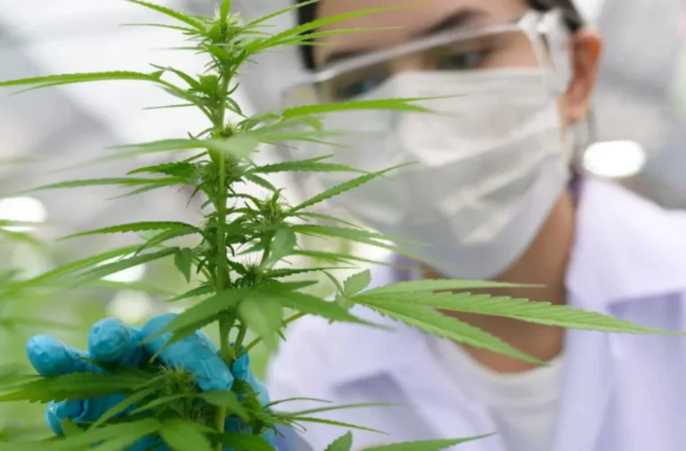 farmakeutiki kanavi (1)