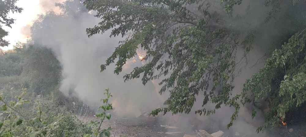 Φωτιά στην παραλίμνιο των Ιωαννίνων- Αναστάτωση στο Πάρκο Κυκλοφοριακής Αγωγής 3 fotia paralimnios