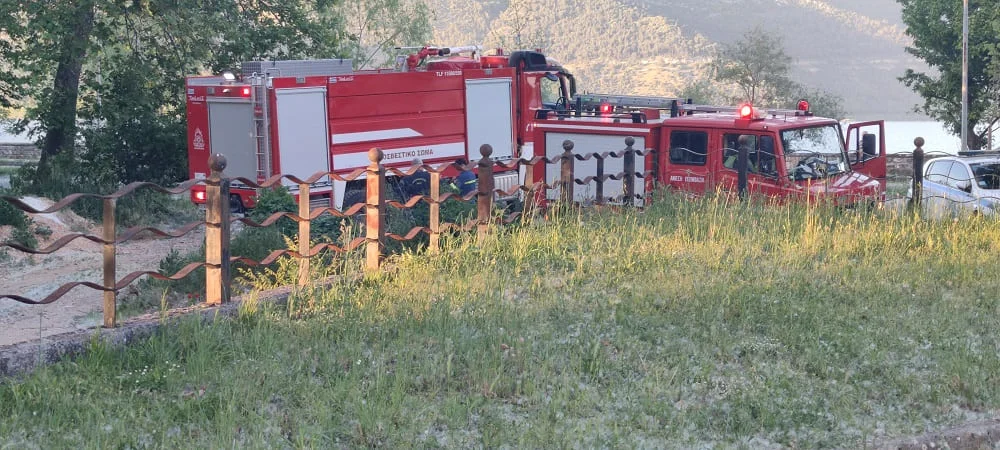 Φωτιά στην παραλίμνιο των Ιωαννίνων- Αναστάτωση στο Πάρκο Κυκλοφοριακής Αγωγής 2 fotia paralimnios