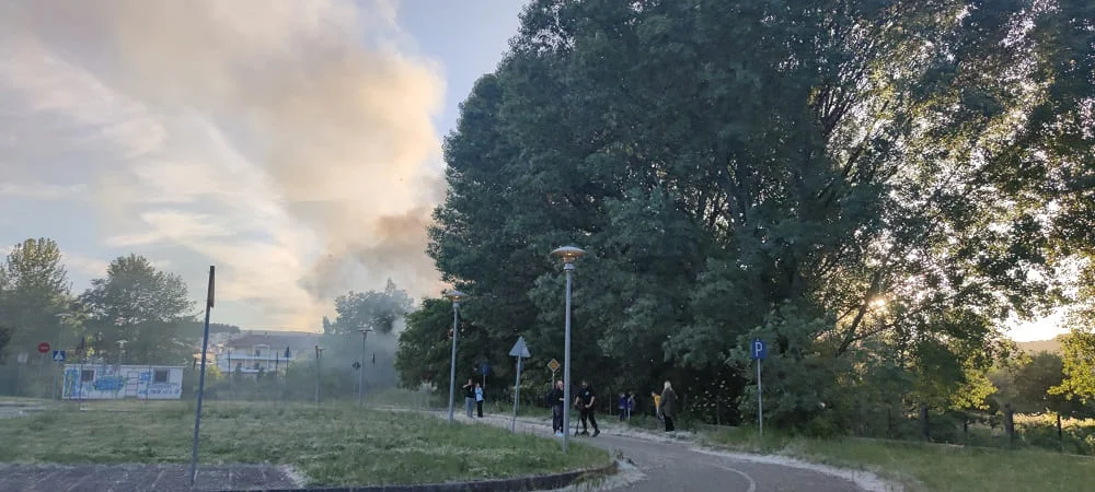 Φωτιά στην παραλίμνιο των Ιωαννίνων- Αναστάτωση στο Πάρκο Κυκλοφοριακής Αγωγής 1 fotia paralimnios