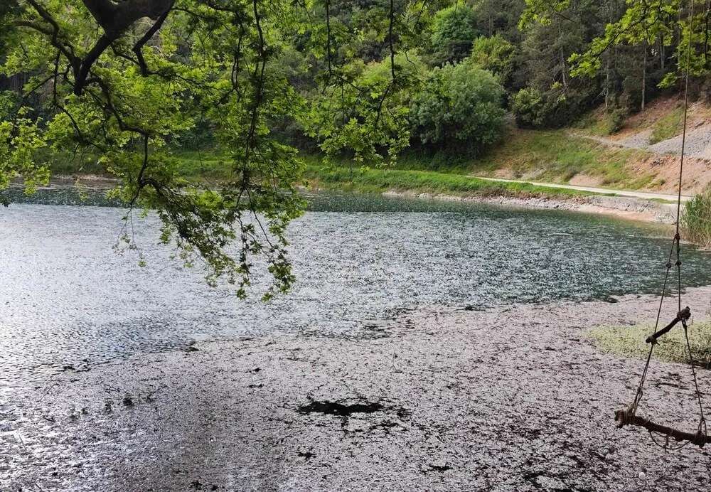 Λίμνη Βηρού: Ορατή η πτώση της στάθμης από τον Μάιο 1 limni virou