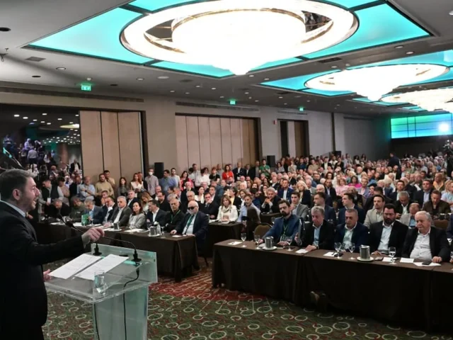 androulakis aftodioikisi