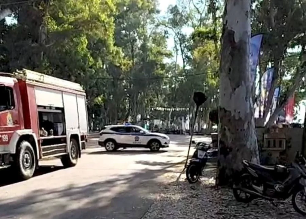 Κατέρρευσε ευκάλυπτος στην Κυανή Ακτή, μέτρα πρόληψης αναζητά ο Δήμος 1 eukaliptos kiani