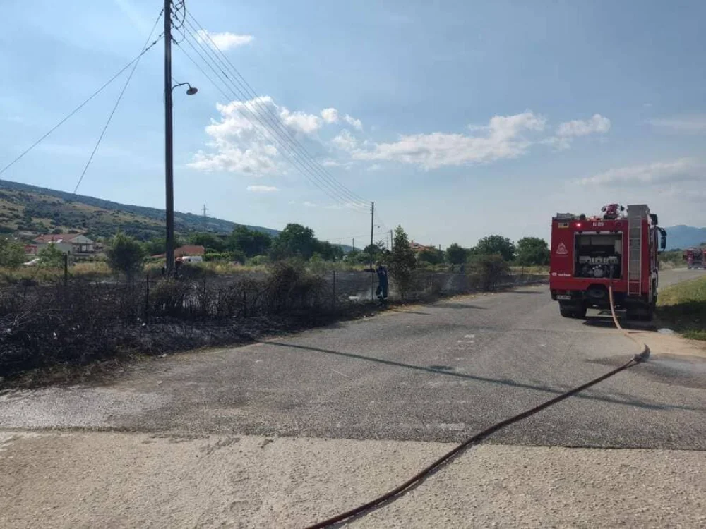 Φωτιά στην Περιφερειακή Ιωαννίνων: Άμεση κινητοποίηση της Πυροσβεστικής-ΦΩΤΟ 1 fotia perifereiaki