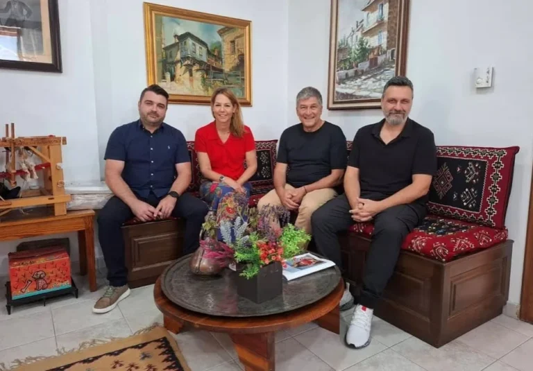 koinotita ioanninon metsovou