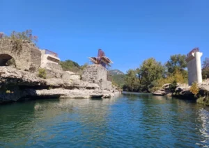 mesogefiro