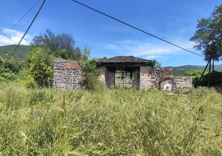 xorio diktio