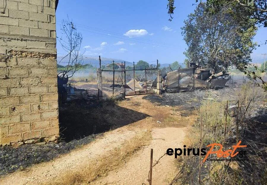 Υπό έλεγχο η φωτιά στην Πεδινή – Κάηκαν παραπήγματα και αποθήκες 1 fotia p