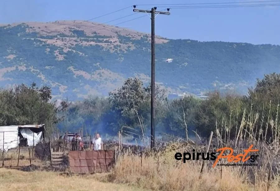Υπό έλεγχο η φωτιά στην Πεδινή – Κάηκαν παραπήγματα και αποθήκες 4 fotia p