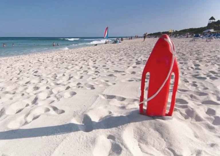 nauagosostis paralia