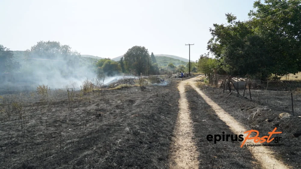 Πυρκαγιά στην Πεδινή Ιωαννίνων: Οι τρεις κρίσιμες ώρες που απέτρεψαν την καταστροφή ΦΩΤΟ-ΒΙΝΤΕΟ 2 pedini fotia