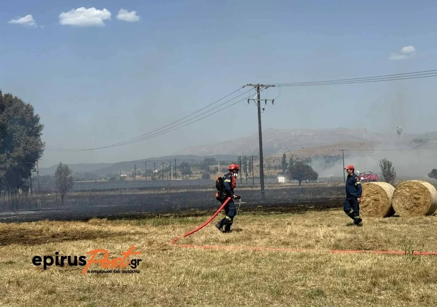 Φωτιά στην Πεδινή Ιωαννίνων: Κινδύνευσαν σπίτια και επιχειρήσεις – Εκκενώσεις και μεγάλη κινητοποίηση 2 pedini fotia