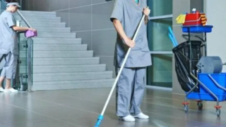 sxolikes kataristries