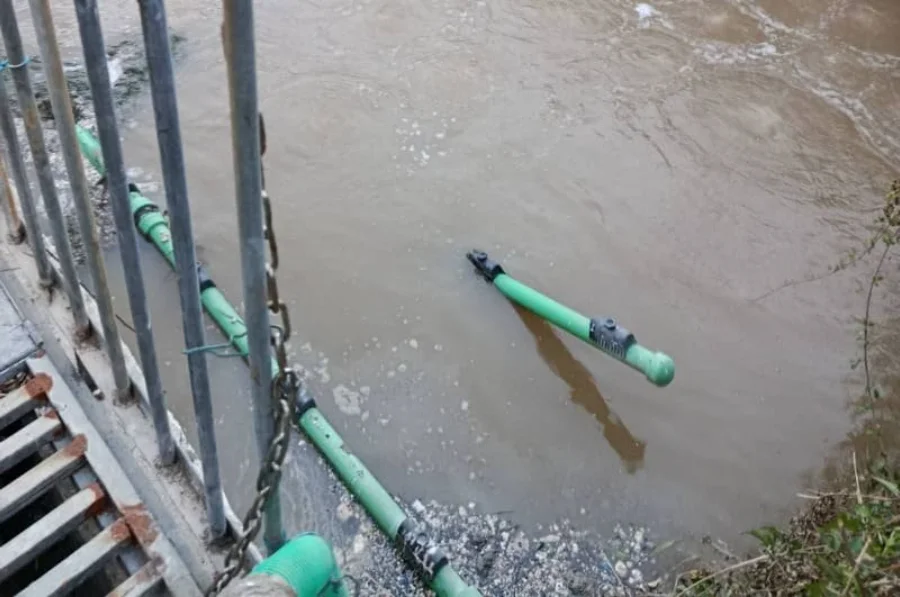 viologikos xatzikosta