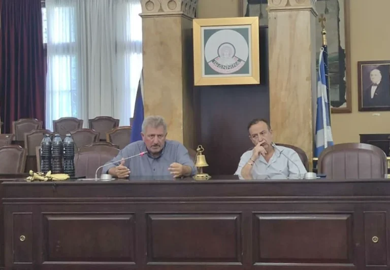 MPEGKAS PAPADIOTIS ()