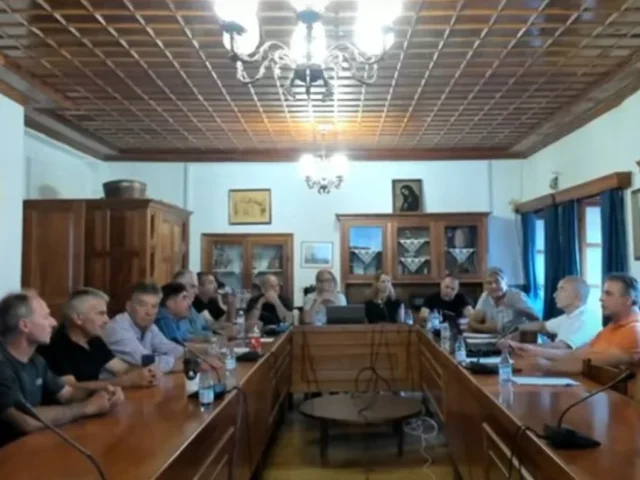 dimotiko metsovou ()