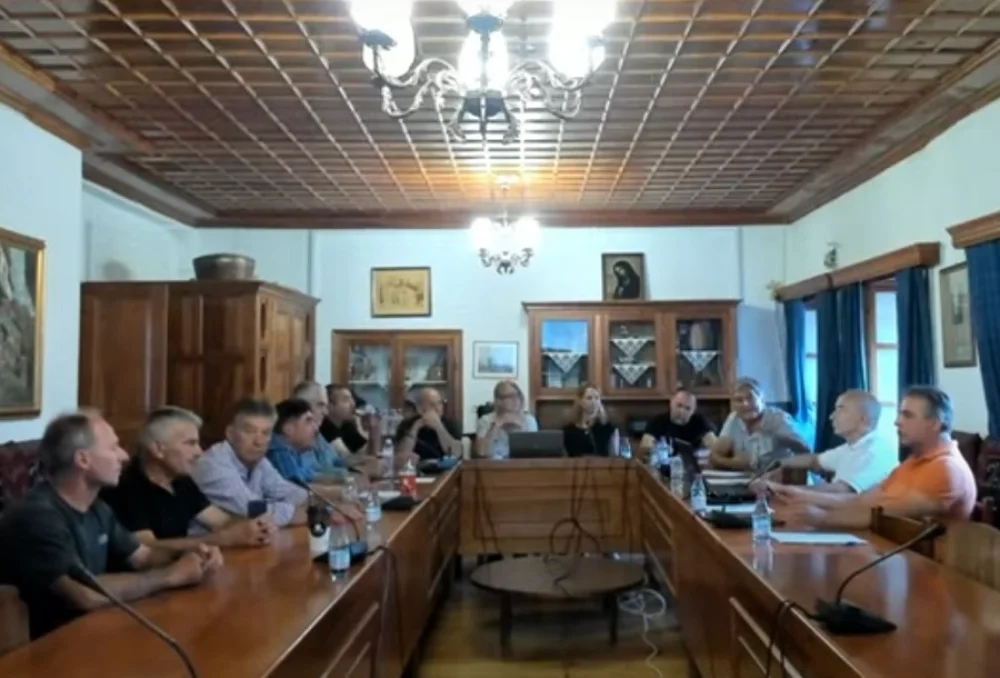 dimotiko metsovou ()