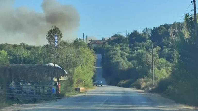fotia fanari