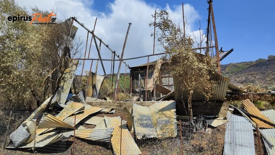 Εικόνες καταστροφής σε Ζηρό και Άρτα:.. Μια εβδομάδα μετά τις φωτιές ΒΙΝΤΕΙΟ- ΦΩΤΟ 5 kamena ziros