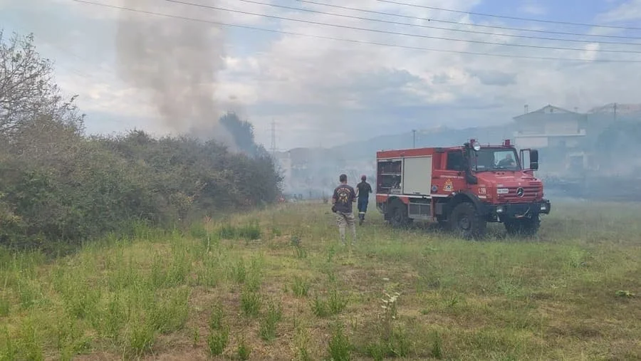 Ιωάννινα: Άμεση κατάσβεση φωτιάς που ξέσπασε στα Καρδαμίτσια 1 kardamitsia