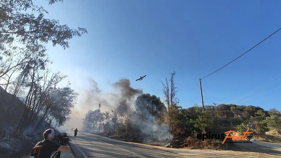 Πύρινος εφιάλτης στην Πρέβεζα: Πολλαπλές πυρκαγιές ξέσπασαν σχεδόν ταυτόχρονα ΦΩΤΟ-ΒΙΝΤΕΟ 4 kastrosikia fotia
