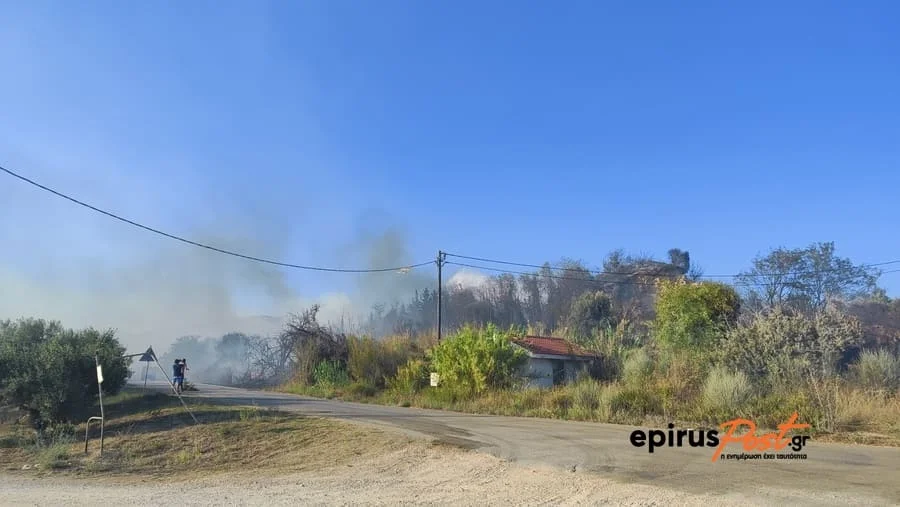 Πύρινος εφιάλτης στην Πρέβεζα: Πολλαπλές πυρκαγιές ξέσπασαν σχεδόν ταυτόχρονα ΦΩΤΟ-ΒΙΝΤΕΟ 1 kastrosikia fotia
