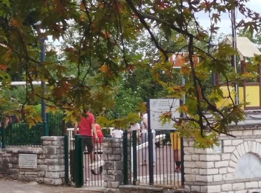 Ανάμεσα στα δέντρα και το σκοτάδι μια παιδική χαρά στη Βήσσανη! 1 paidiki xara