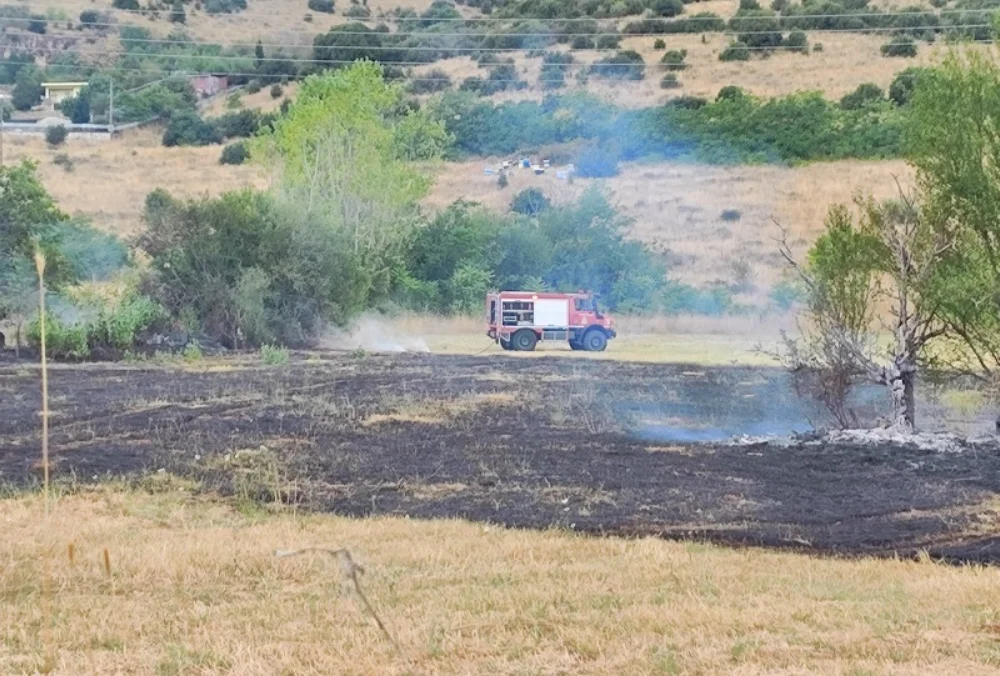 Άμεση κατάσβεση φωτιάς κοντά στην λαχαναγορά Σταυρακίου 1 stauraki fotia